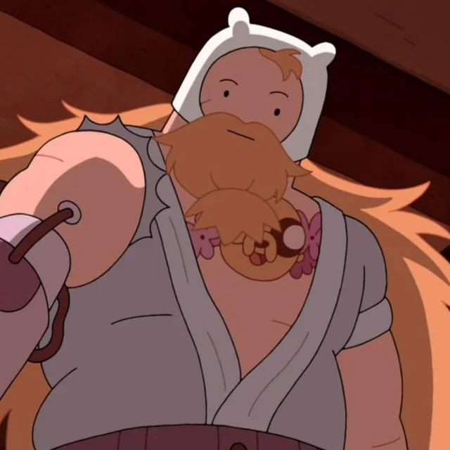 Avatar of Finn the human (adult)