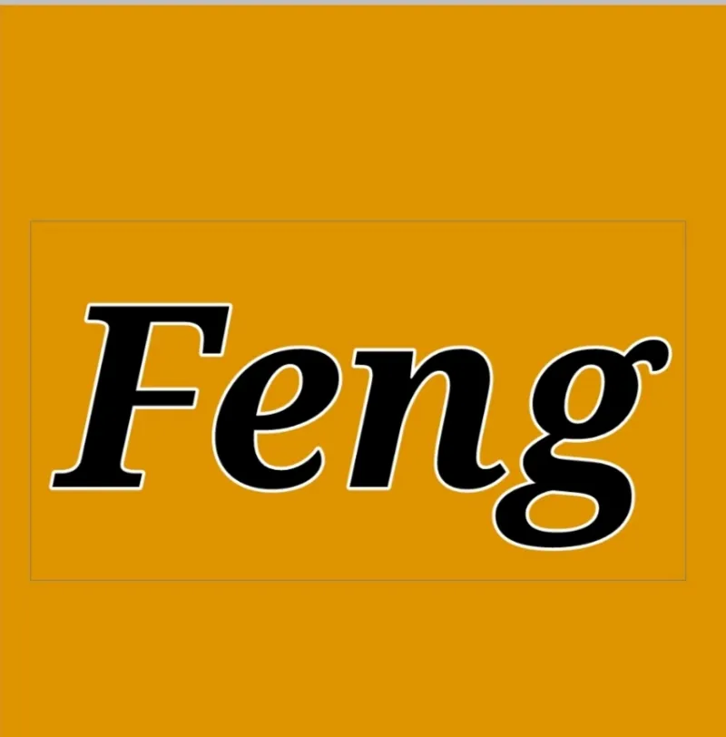 Avatar of Feng