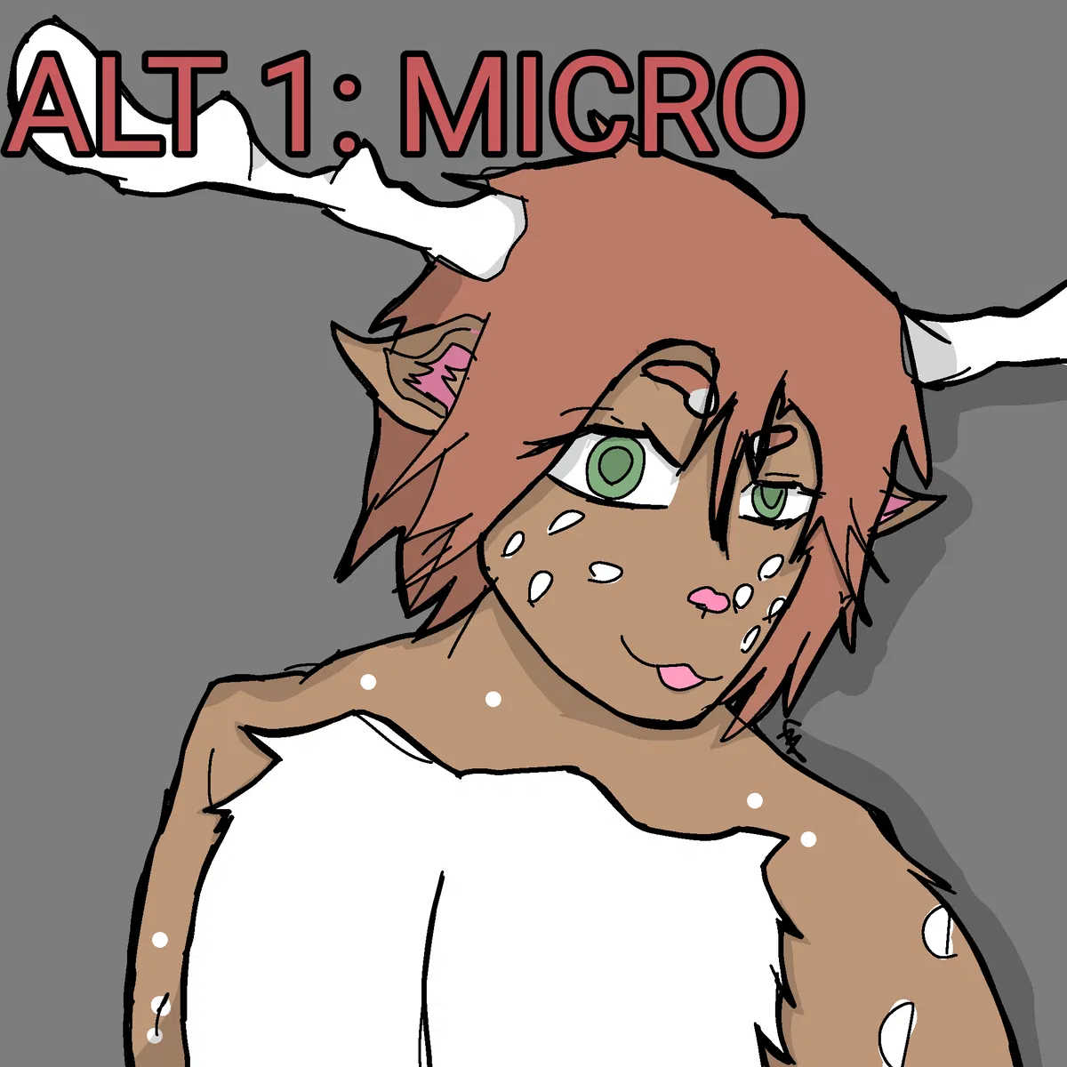 Avatar of Taiga || MacroPOV