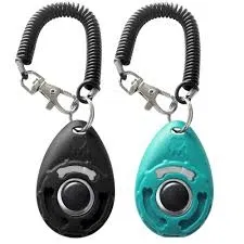 Avatar of Clicker training