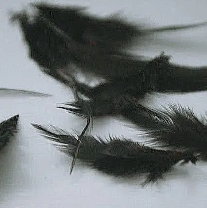 Avatar of Castiel/Cas Novak
