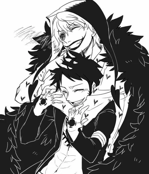 Avatar of Donquixote Corazon Trafalgar Law 