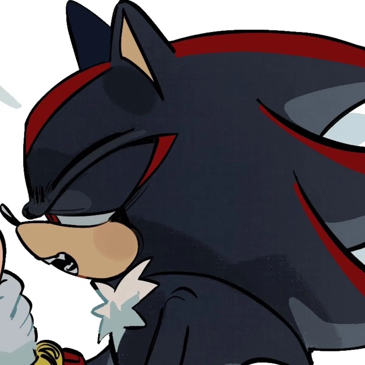 Avatar of  ̊+۶ৎ ̇⋆ ALPHA | Shadow The Hedgehog