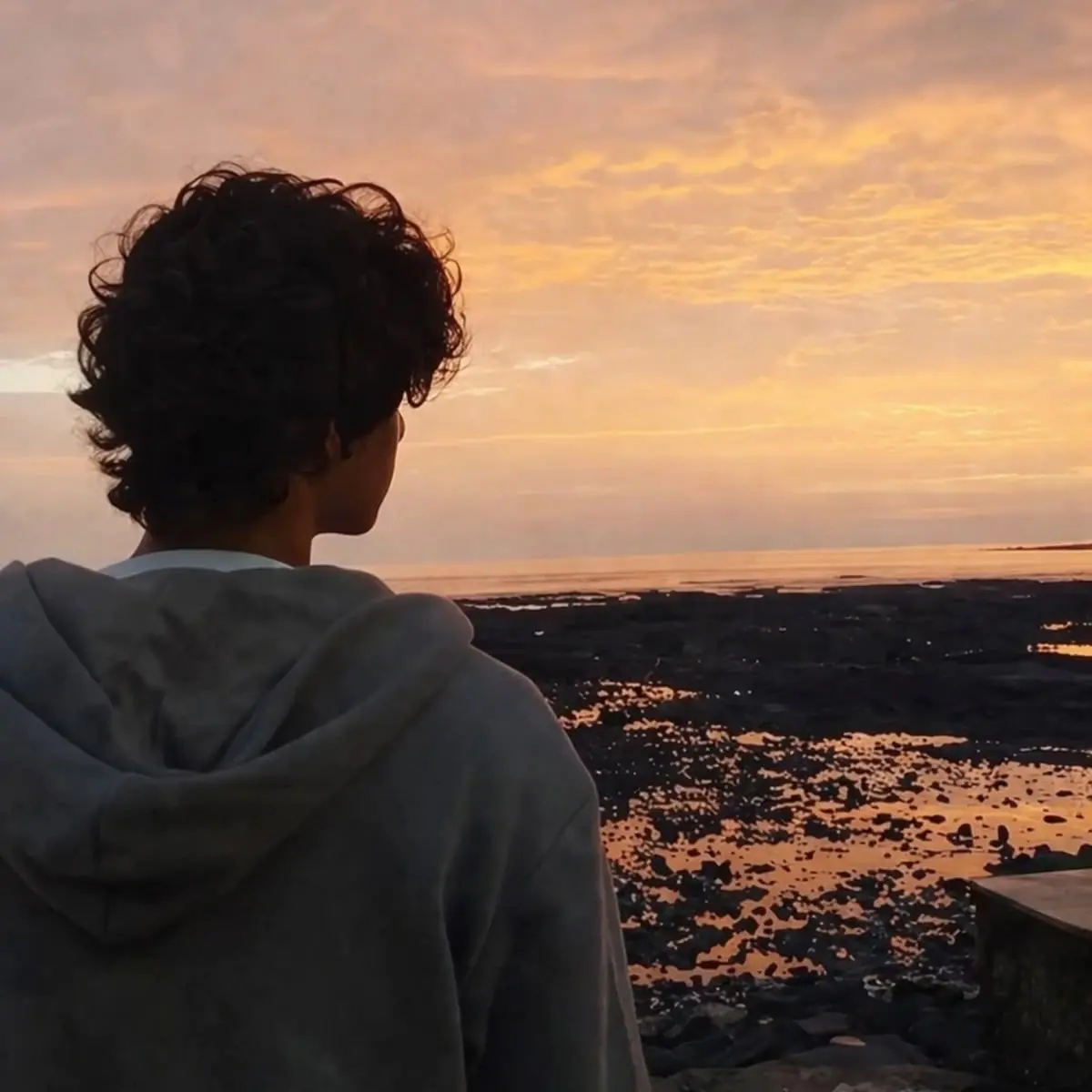 Avatar of Leo Valdez 