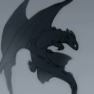 Avatar of Night Fury