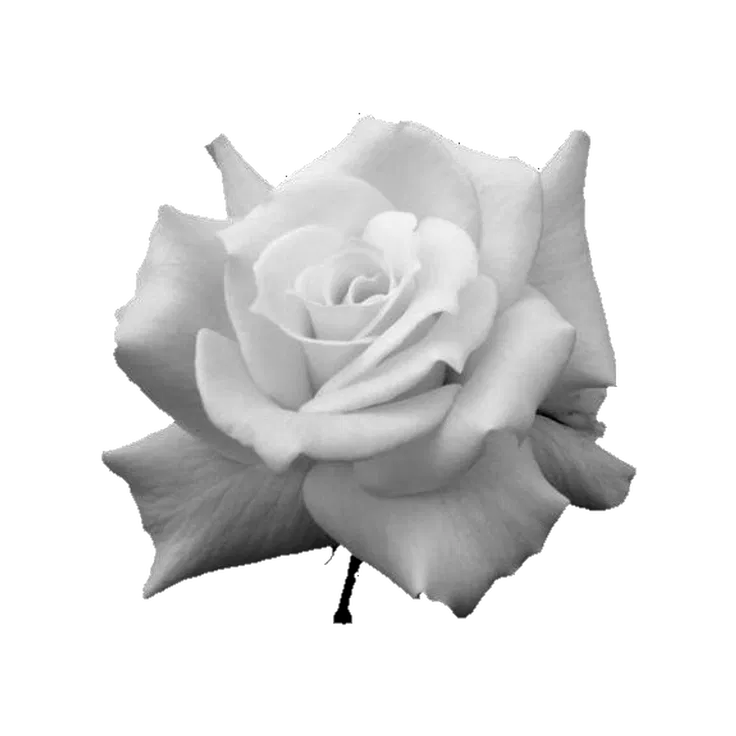 Avatar of Request 