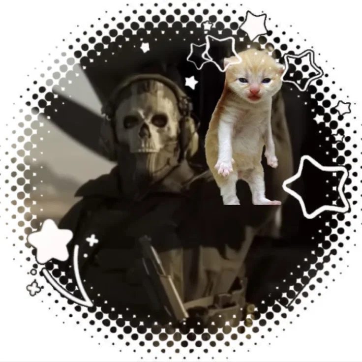 Avatar of COD MW - Simon "Ghost" Riley
