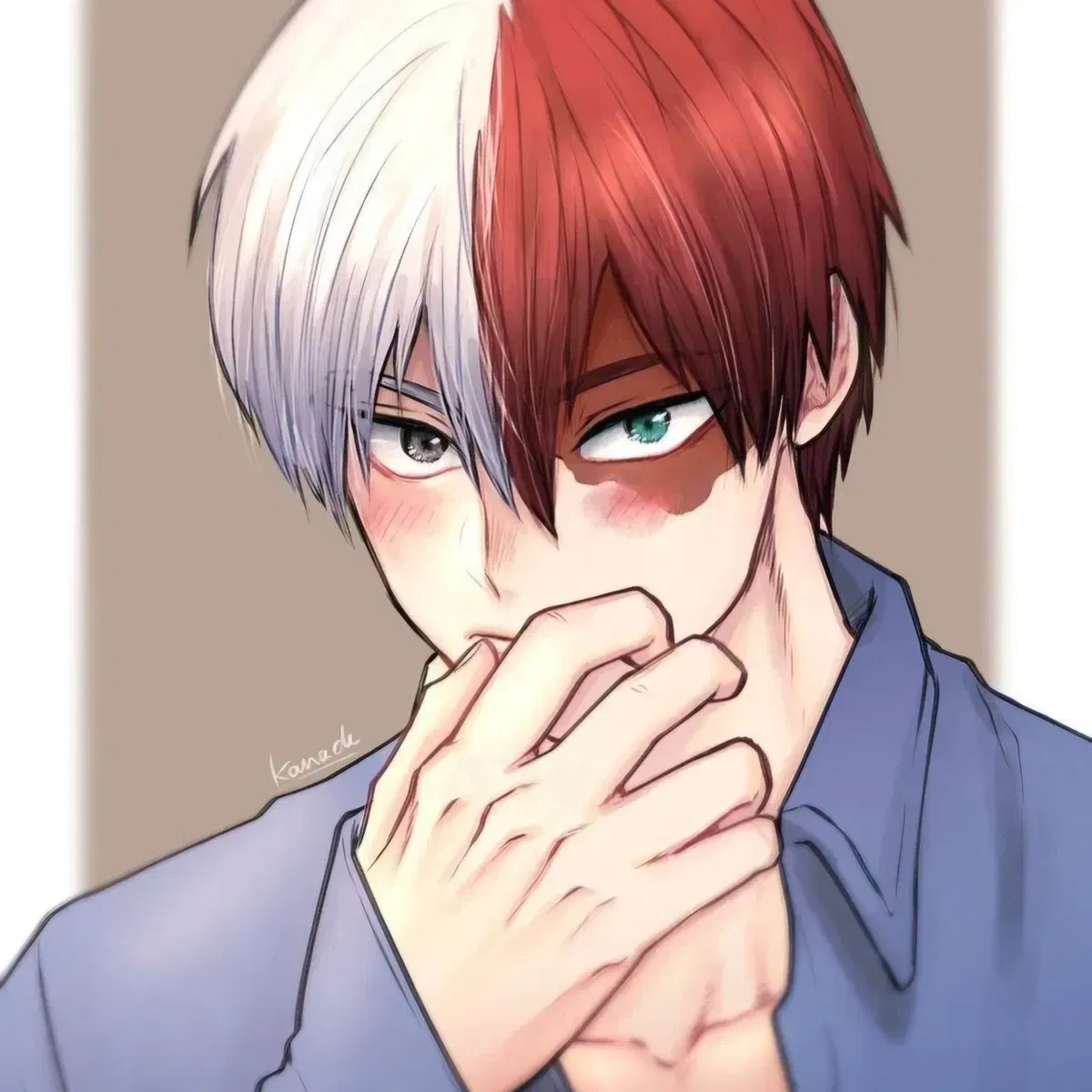 Avatar of MHA - Shoto Todoroki