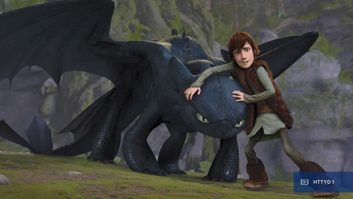 Avatar of Hiccup Horrendous Haddock III & Toothless the Night Fury