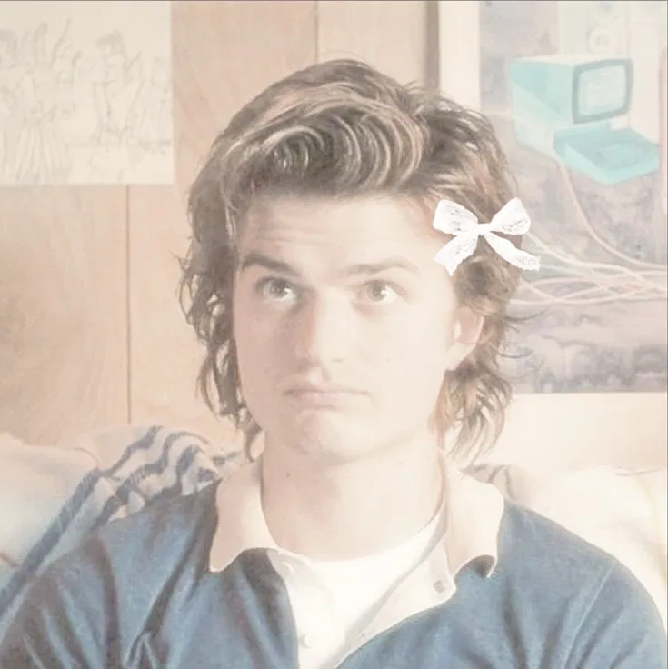 Avatar of steve harrington ୨ৎ