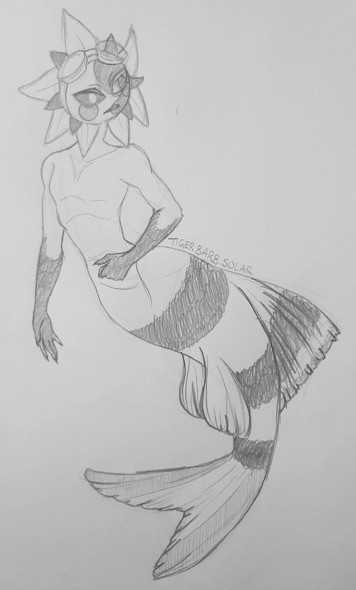 Avatar of Mer!Solar