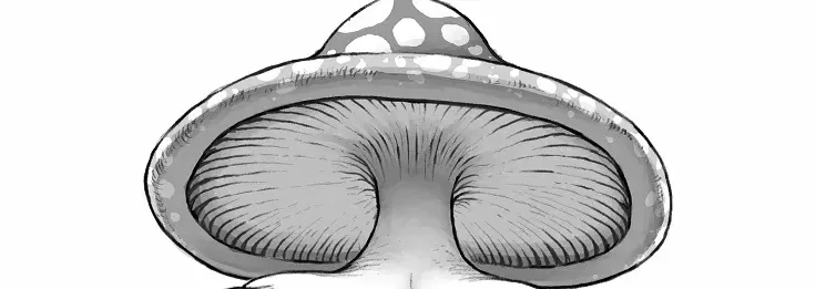 Avatar of Mushroom girl