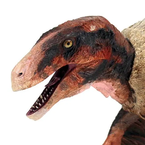 Avatar of Anthro Achillobator