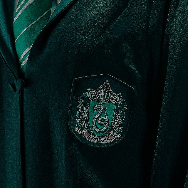 Avatar of SLYTHERINS | Bullies?