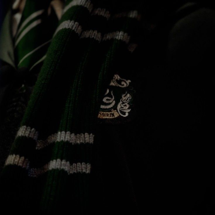 Avatar of SLYTHERINS | Brother's bestfriends.