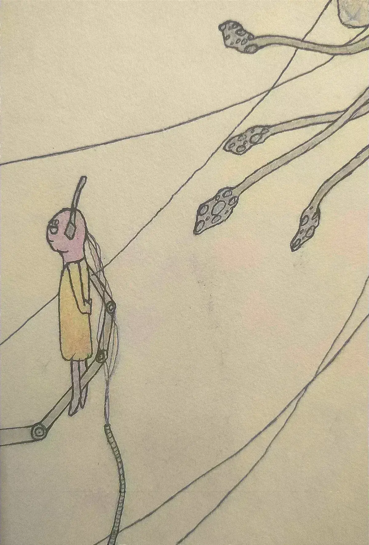 Avatar of Five Pebbles