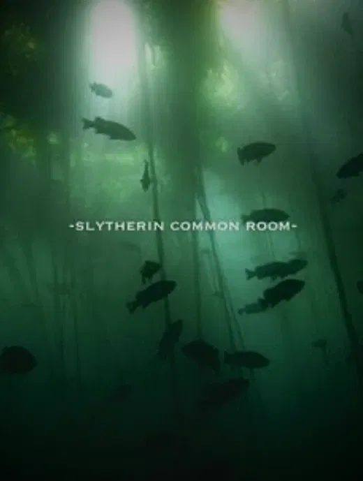 Avatar of Slytherin common room