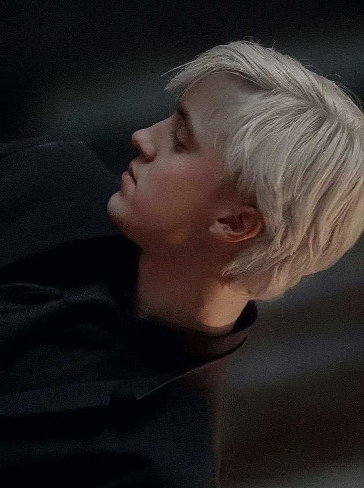 Avatar of 🐍Draco Malfoy *[secret admirer/yandere]*🍏