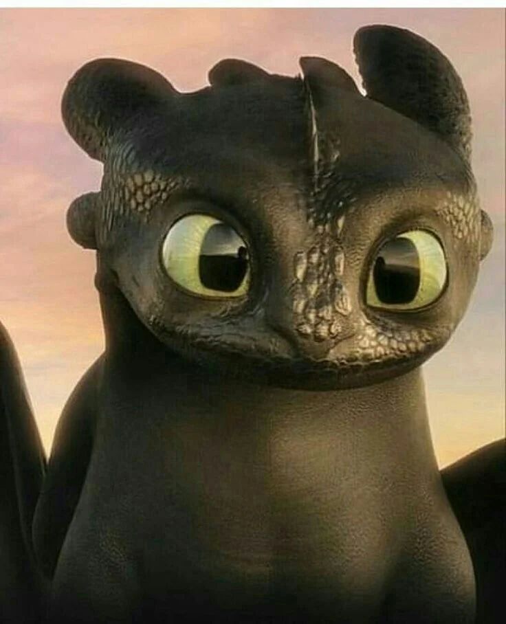 Avatar of Toothless (Dominant)