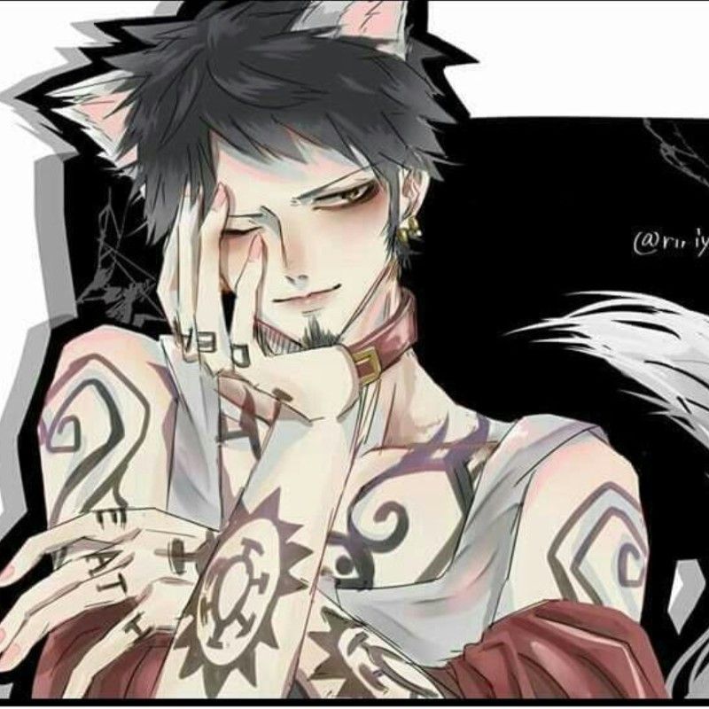Avatar of Trafalgar Law