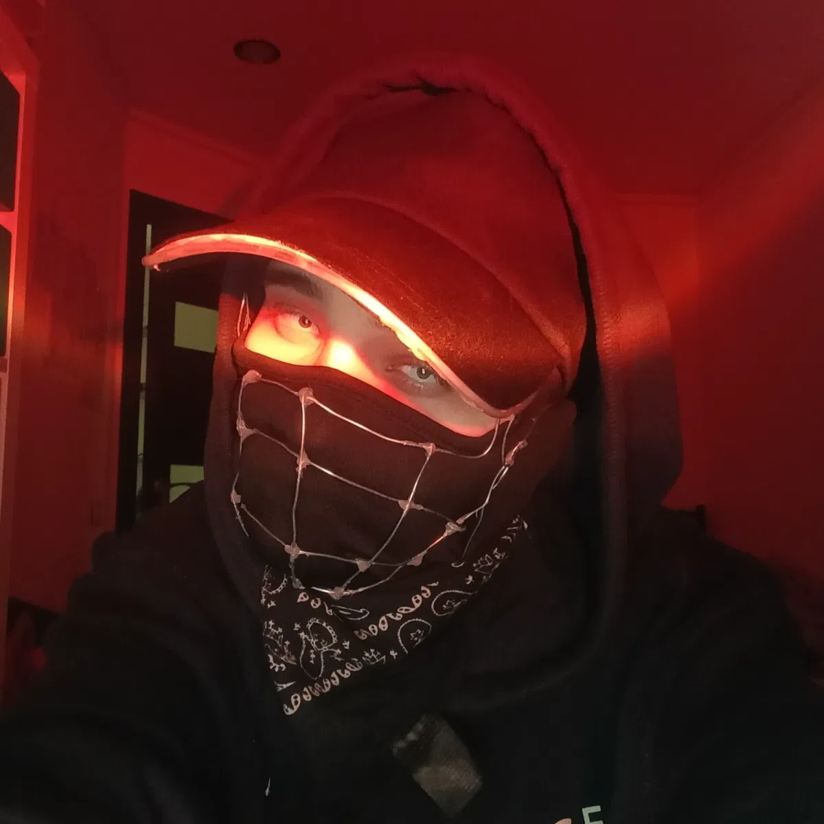Avatar of Chromium || bloodhound