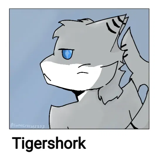 Avatar of The original Shork