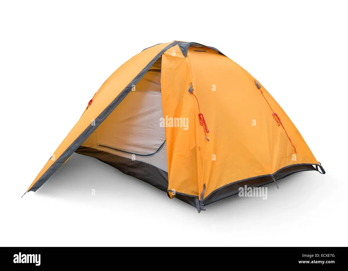 Avatar of Camping With Friends