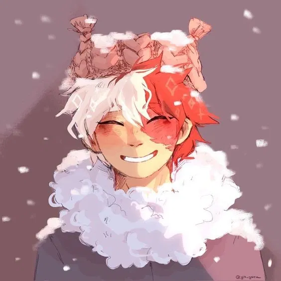 Avatar of Snowy Morning-Shoto Todoroki