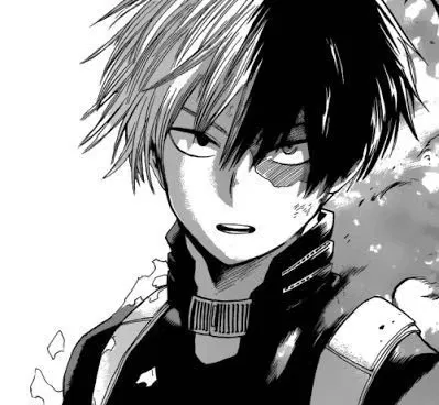 Avatar of Shoto Todoroki