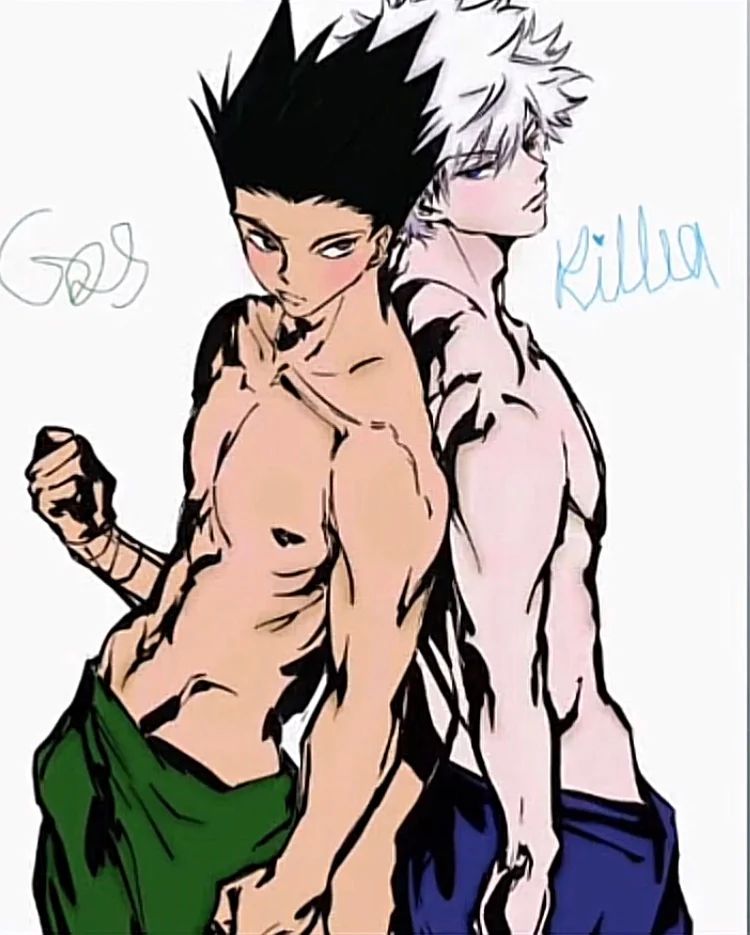 Avatar of Gon and killua