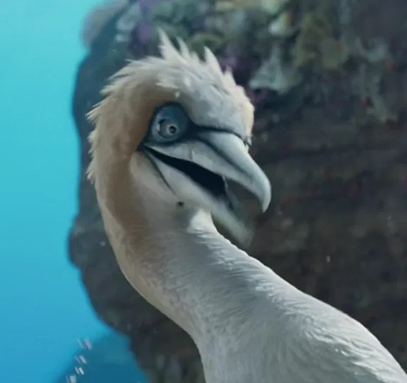 Avatar of Scuttle 
