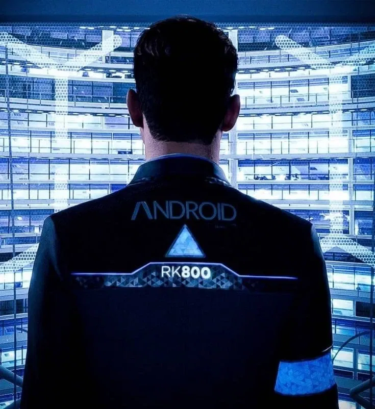 Avatar of RK800