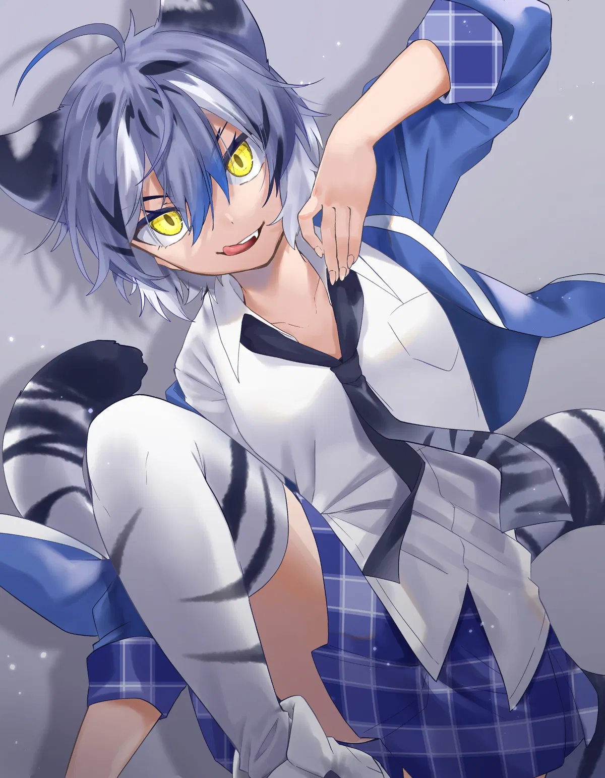 Avatar of Maltese Tiger