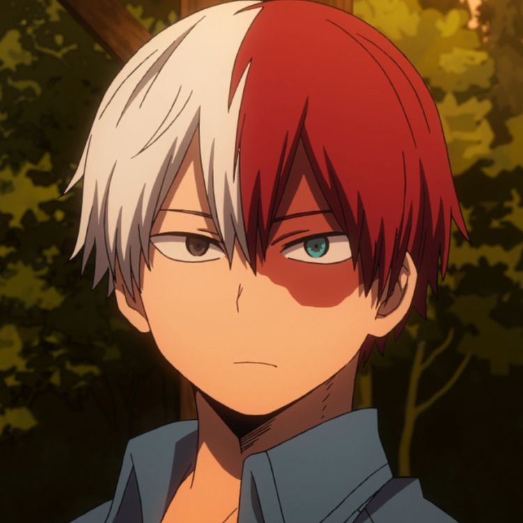 Avatar of Shoto Todoroki 