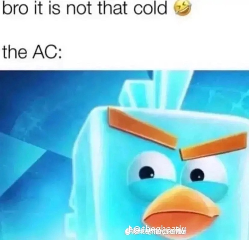 Avatar of Bro it is not that cold 🤣 the AC: