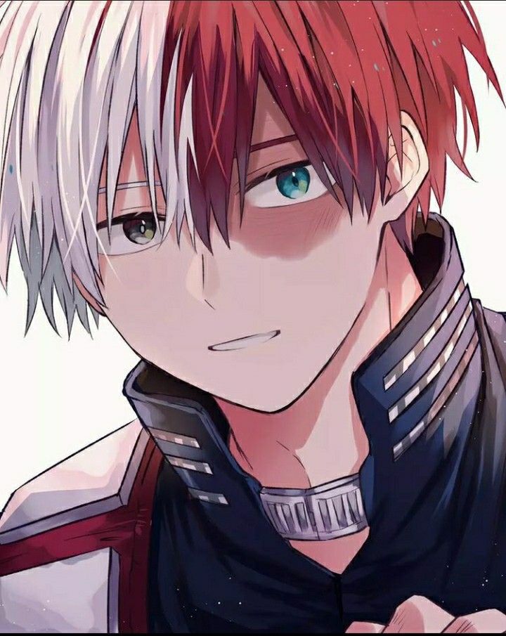 Avatar of Shoto Todoroki