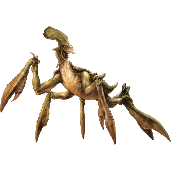 Avatar of Acklay