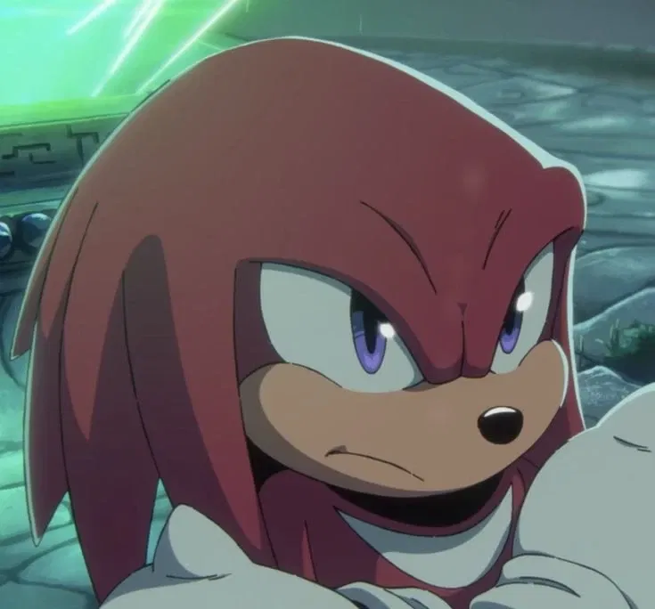 Avatar of Knuckles The Echidna「First Meeting」