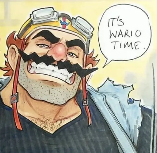 Avatar of Wario ✧₊∘