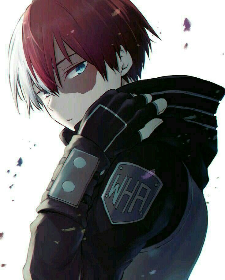 Avatar of Shoto todoroki 