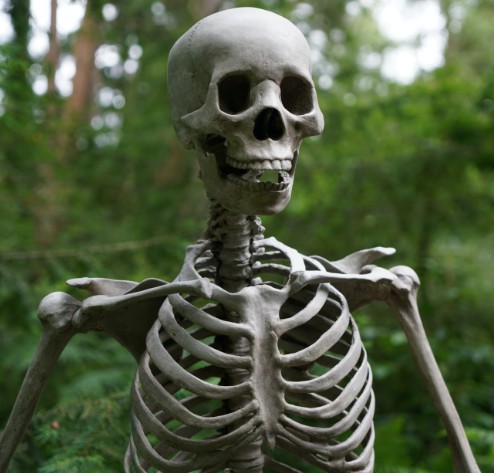 Avatar of Skeleton