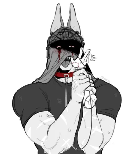 Avatar of Your guard dog König