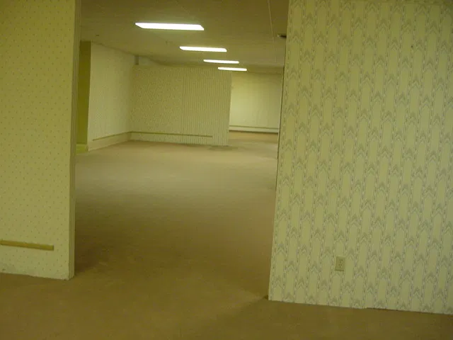 Avatar of -The Backrooms: Back at level 0- Ariya