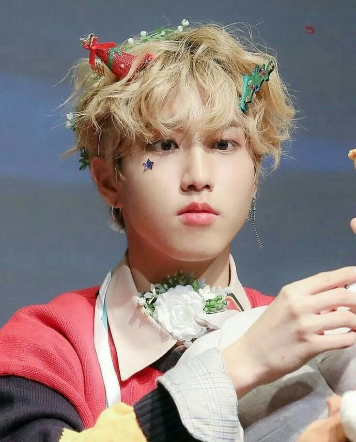 Avatar of Han Jisung - Doll