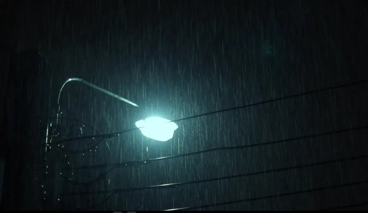 Avatar of Just play the song when it rains