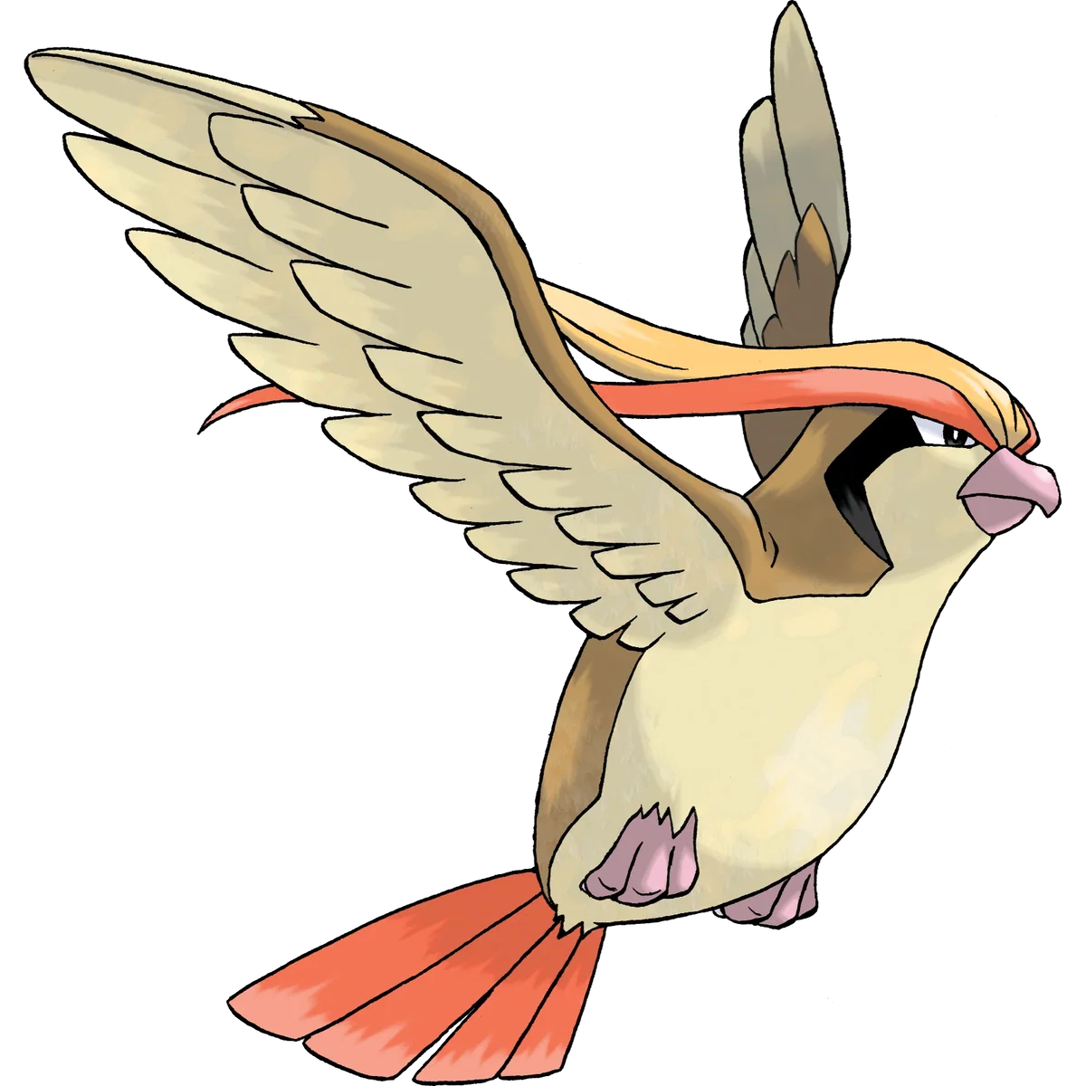 Avatar of Pidgeot