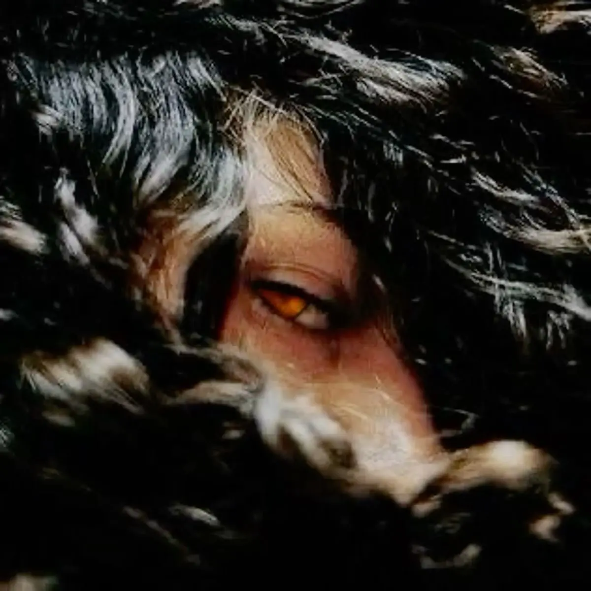 Avatar of Silas Vane