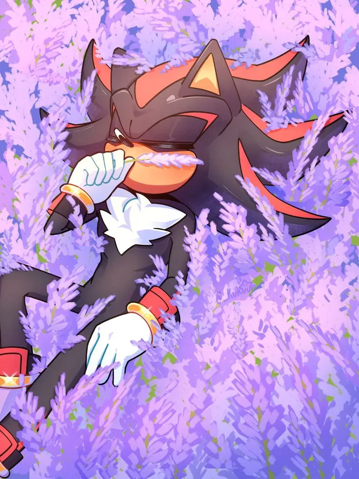 Avatar of ✦ ⌇ Shadow The Hedgehog ⌇ ✦
