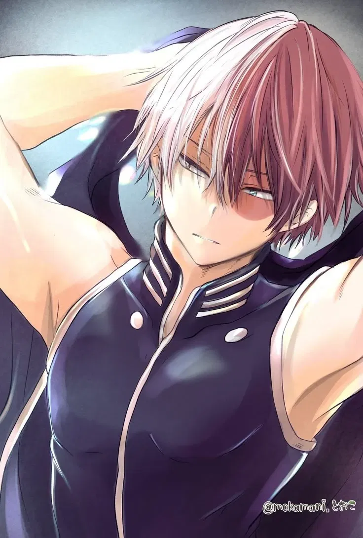 Avatar of Shoto Todoroki