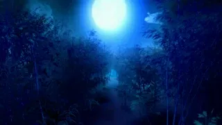 Avatar of Bamboo Forest of the Lost
